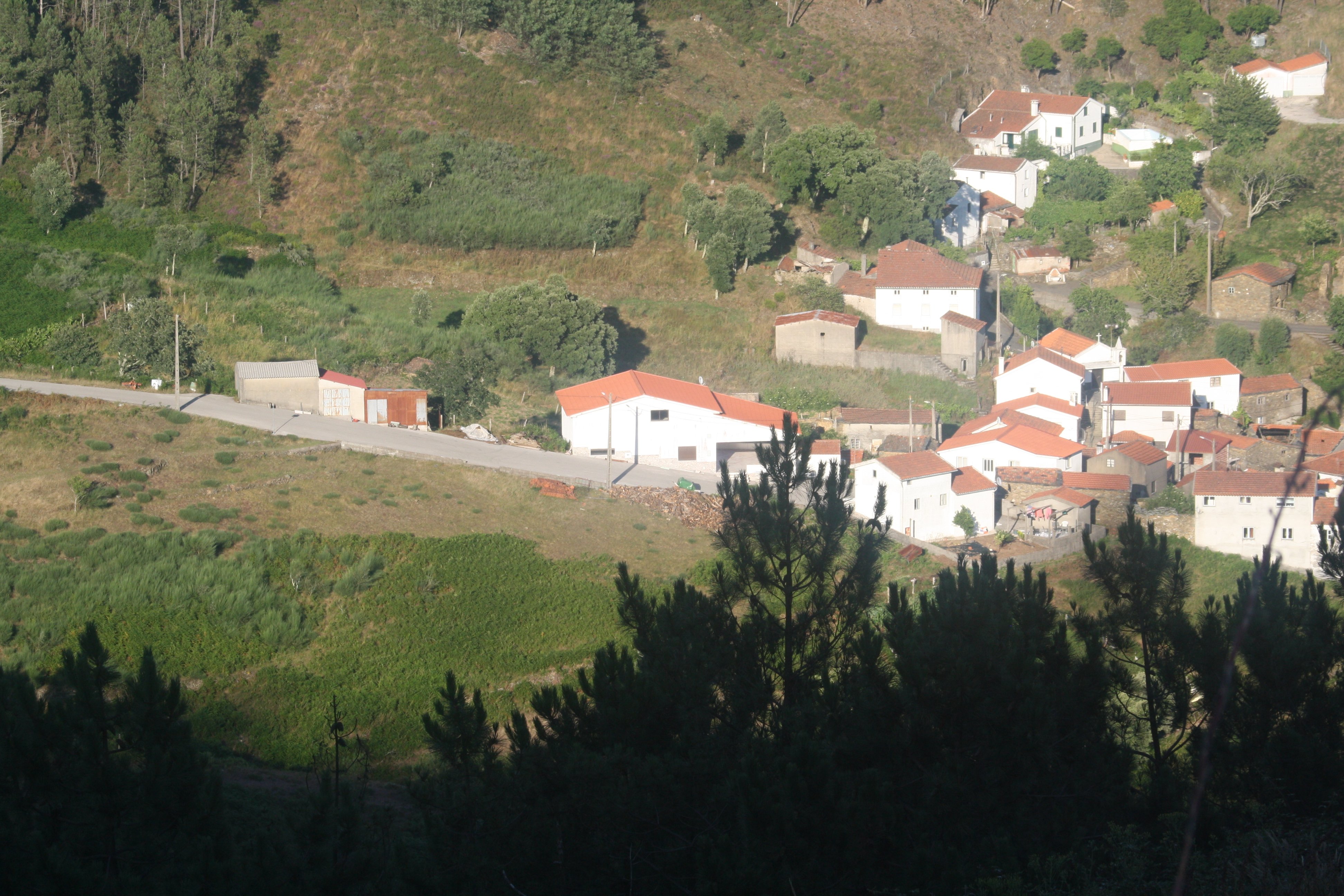 IMG_9880.JPG