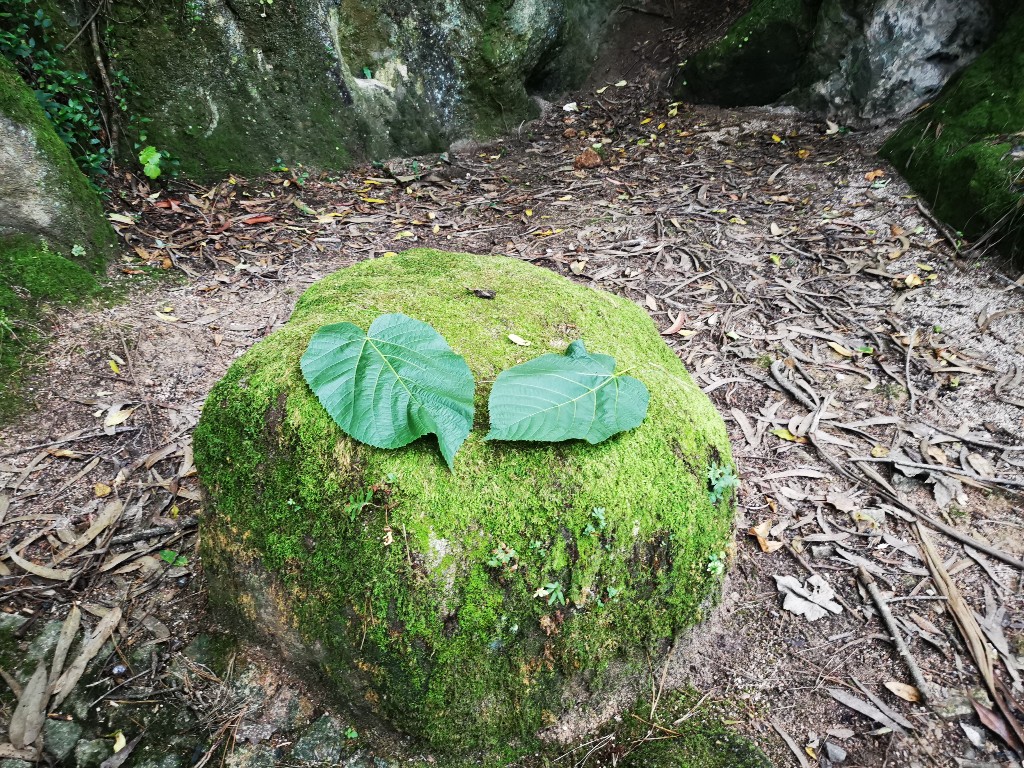 [No title]
