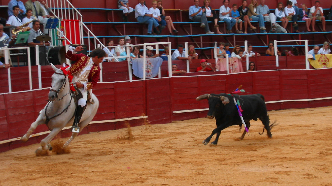 Stierkampf in Lagos, Portugal.