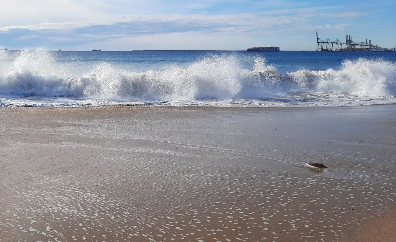 Strand bei Sines