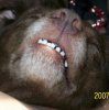 100_0235.jpg
