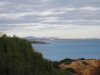 IMG_0526II.jpg