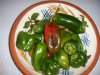 Paprika02.jpg