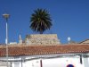 Beja16.jpg