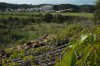 DSC_0266.jpg