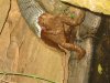 lake_&_snake_010.JPG