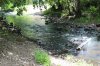 IMG_1937.JPG