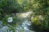 colmenas-26-05-2012-teiche 017.jpg