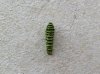 IMG_0208.jpg