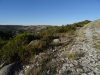 DSC06876.JPG