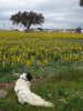 DSC08806.JPG