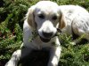 DSC01764.JPG DSC01764.JPG
