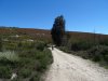 DSC02313.JPG