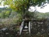 DSC06814.JPG