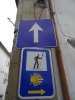 DSC06483.JPG