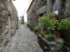 DSC09134.JPG