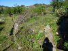 DSC01901.JPG