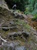 DSC04770.JPG