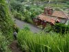 DSC04721.JPG