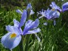 DSC00604.JPG