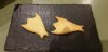 20201015_210543.jpg