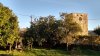 PortuN_20201012_181257_G5.jpg