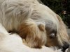 DSC01762.JPG