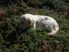 DSC01763.JPG