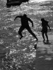IMG_0315.jpg