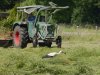 Storch-_LG91641.jpg
