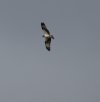 DSC01193 Kopie.JPG
