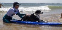 surf_canino_regressa_a_praia_de_carcavelos_cropsite_1.jpg