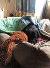 IMG_8833.jpeg