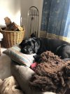 IMG_8912.jpeg