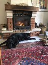 IMG_8919.jpeg