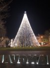IMG_2796.jpeg