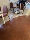 IMG_0691.jpeg