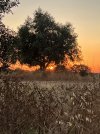 IMG_0191.jpeg