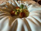 IMG_7758.jpeg