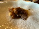 IMG_7760.jpeg