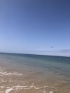 IMG_1532.jpeg