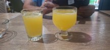 20260717_220633poncha.jpg