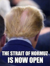 1000022273.png