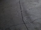 011025 (309).jpg