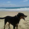 Ramona Mosby-Pirzer