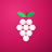 LingvoBerry
