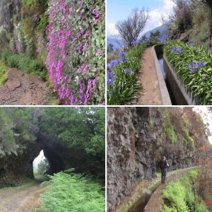 Wander Urlaub Madeira