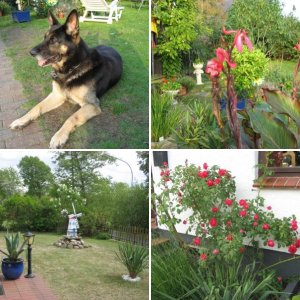 mein mediteraner garten