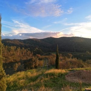 Medium 'Ferienhaus im Alentejo, Nähe Algarve' im Album 'Ferienhaus Corte Velha'