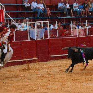 Stierkampf in Lagos, Portugal.